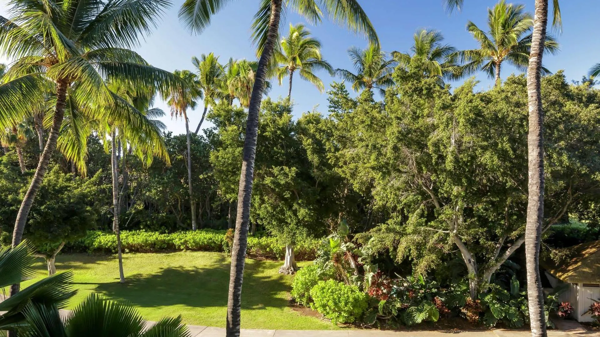 Resort Hotel Fairmont Orchid Waikoloa